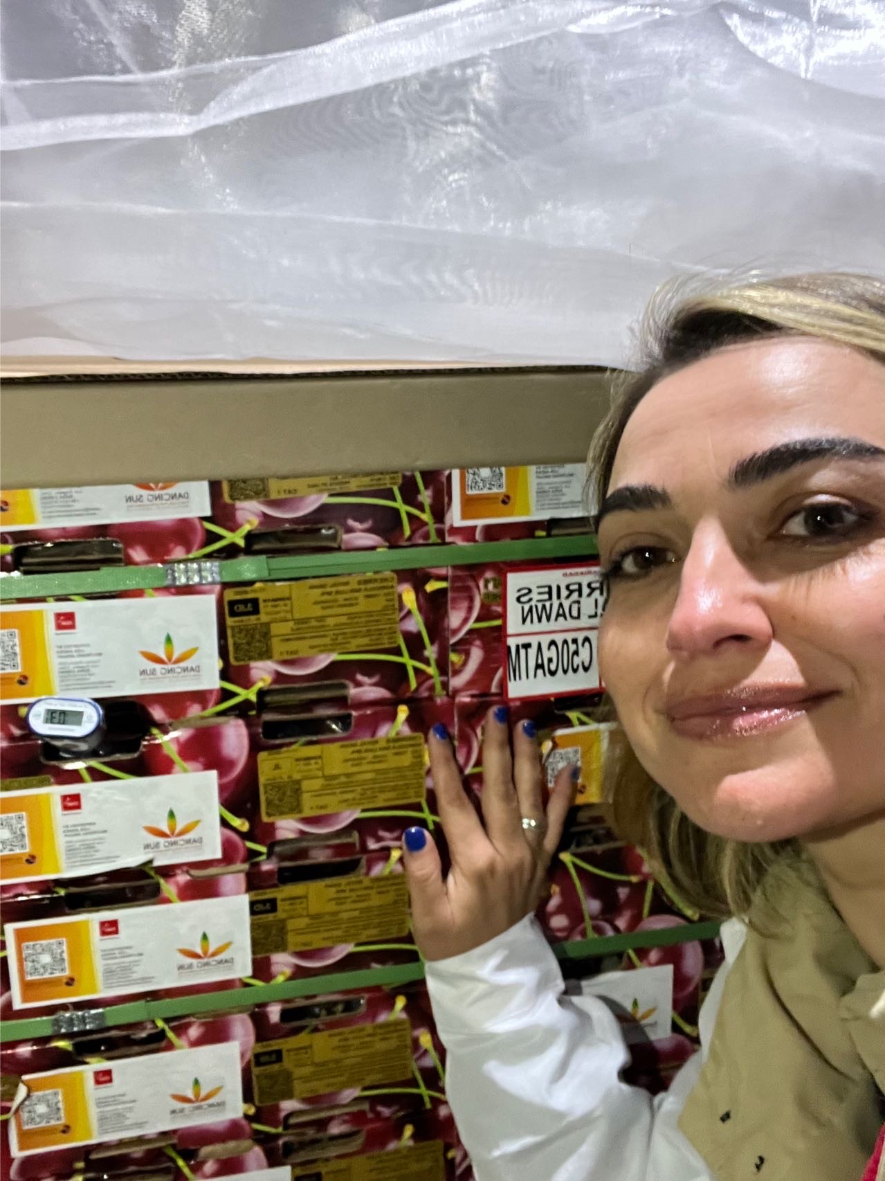 Fiorella con cajas Dancing Sun en bodega frigorífica — CHERRIES ROYAL DAWN para exportación a China